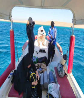 Offshore Diving Services